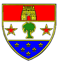 28th Infantry Division Recreated...  